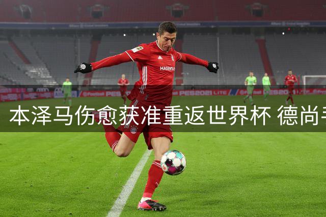 本泽马伤愈获准重返世界杯 德尚手握关键决定权