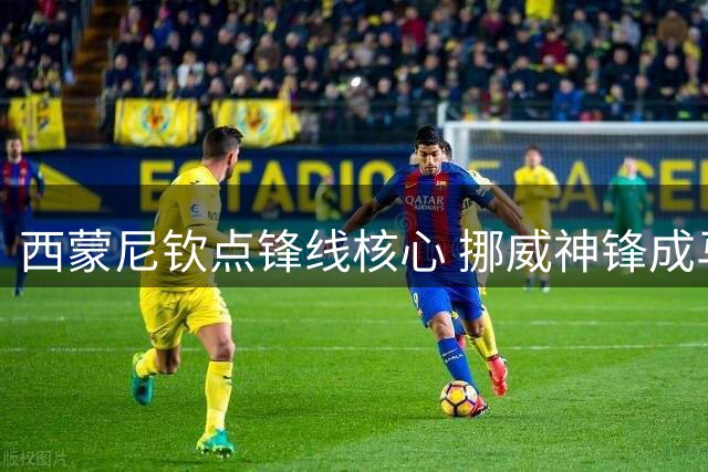 西蒙尼钦点锋线核心 挪威神锋成马竞非卖品